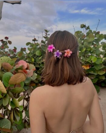 hair clip